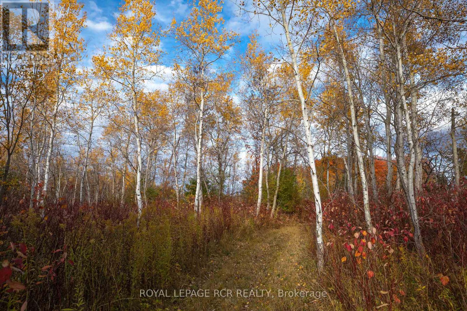 595133 Blind Line, Mono, Ontario  L9W 5N4 - Photo 39 - X11914967