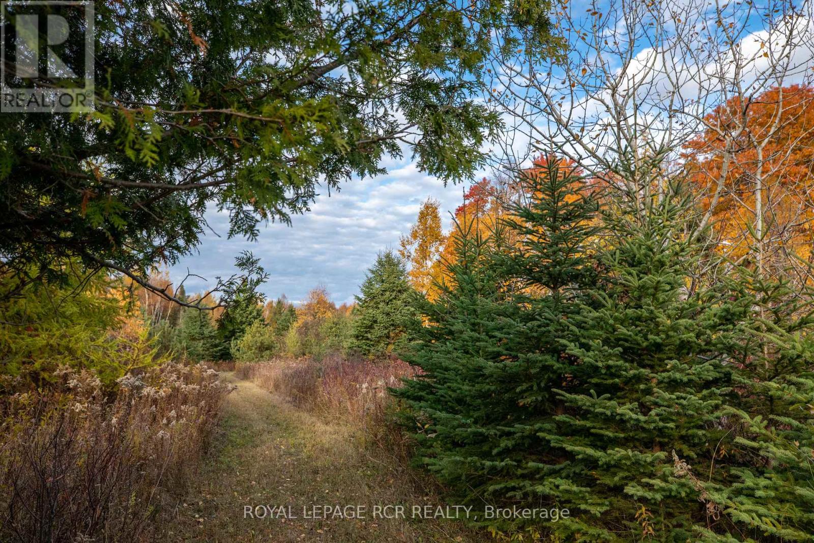 595133 Blind Line, Mono, Ontario  L9W 5N4 - Photo 40 - X11914967