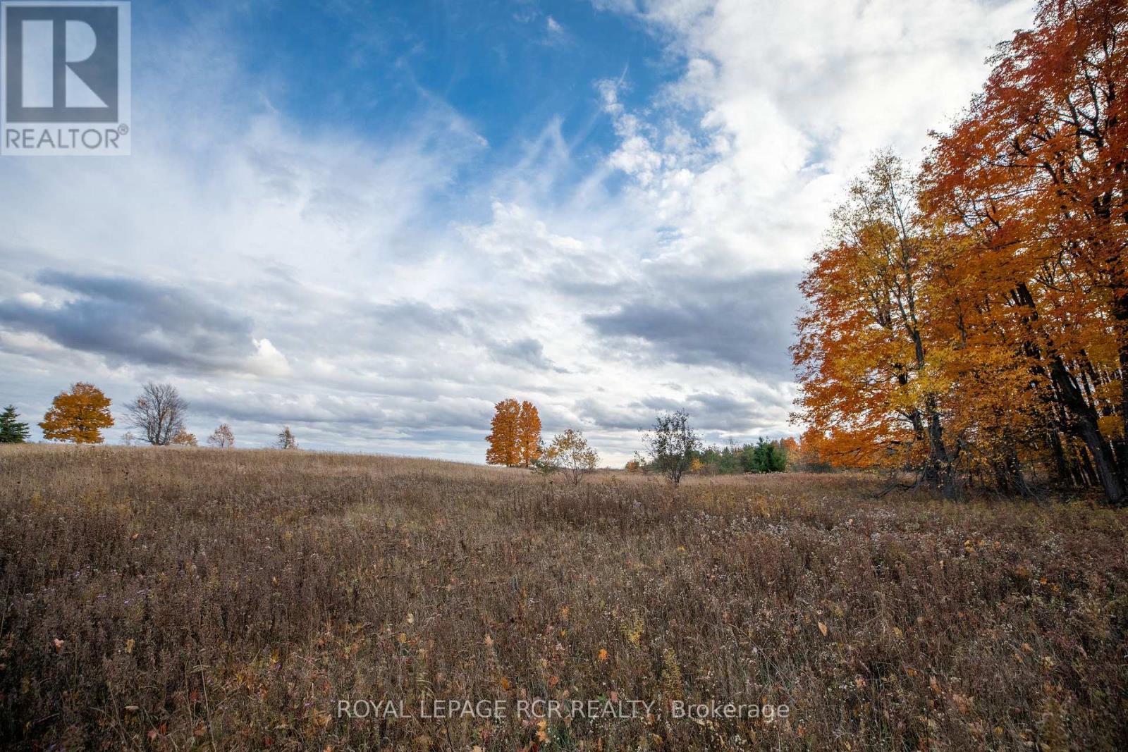 595133 Blind Line, Mono, Ontario  L9W 5N4 - Photo 36 - X11914967