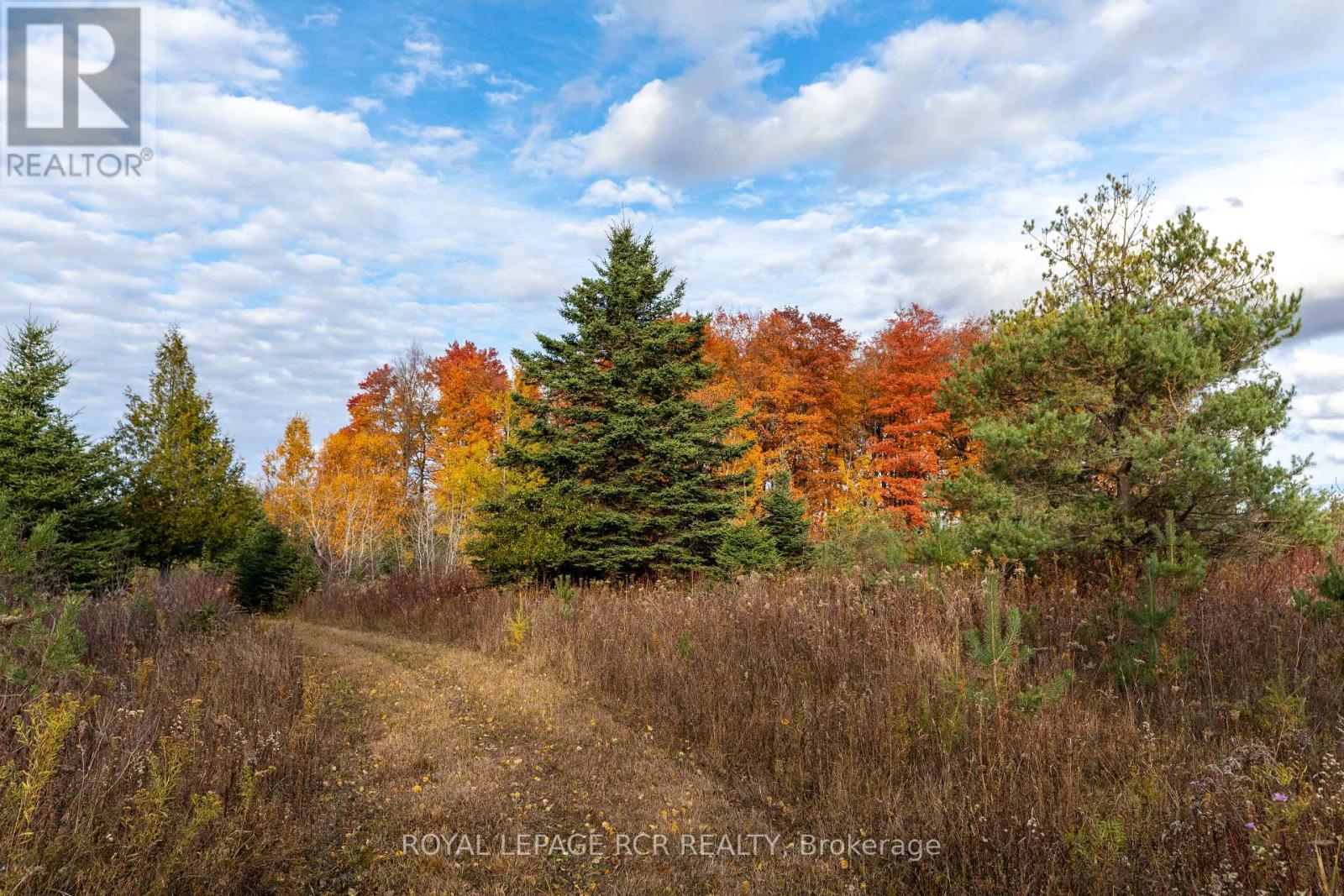 595133 Blind Line, Mono, Ontario  L9W 5N4 - Photo 37 - X11914967