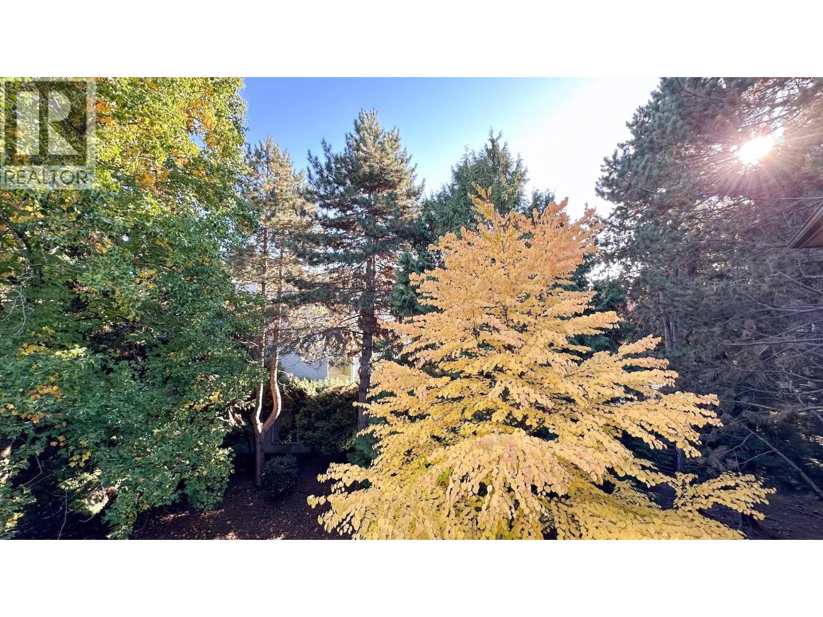 305 7457 Moffatt Road, Richmond, British Columbia  V6Y 1X9 - Photo 23 - R3058703