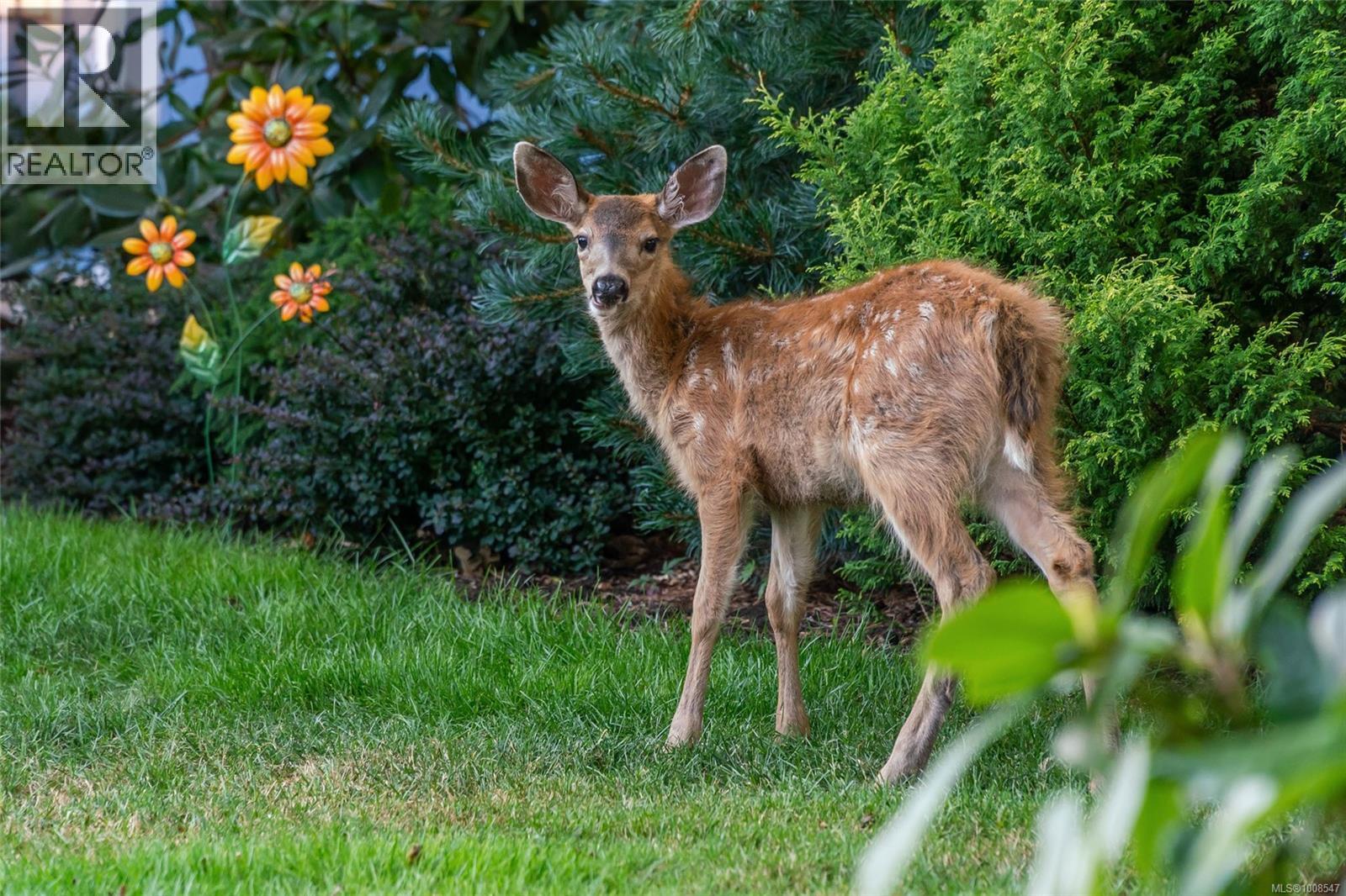 3419 Redden Rd, Nanoose Bay, British Columbia  V9P 9H4 - Photo 34 - 1008547