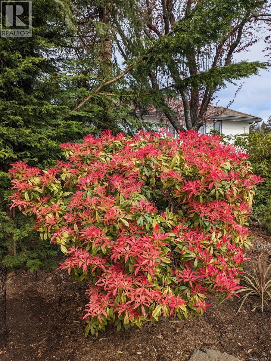 3419 Redden Rd, Nanoose Bay, British Columbia  V9P 9H4 - Photo 52 - 1008547