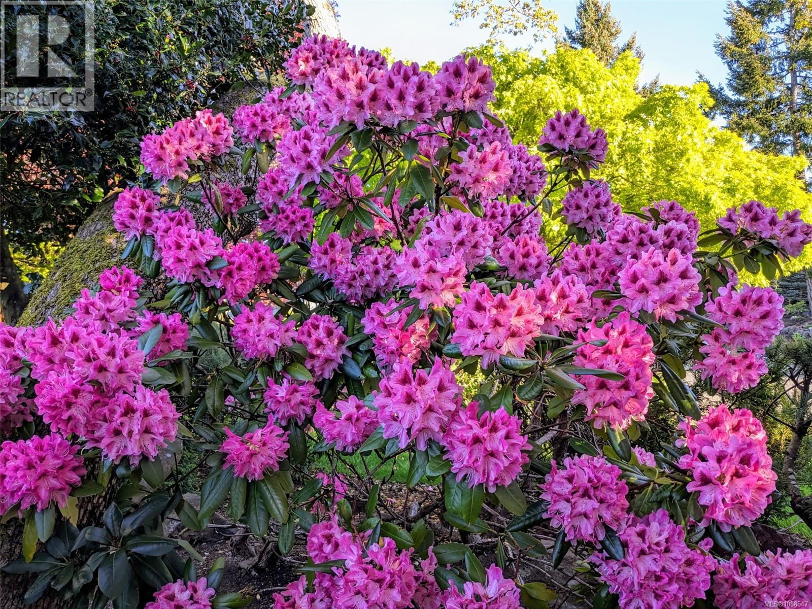 3419 Redden Rd, Nanoose Bay, British Columbia  V9P 9H4 - Photo 51 - 1008547