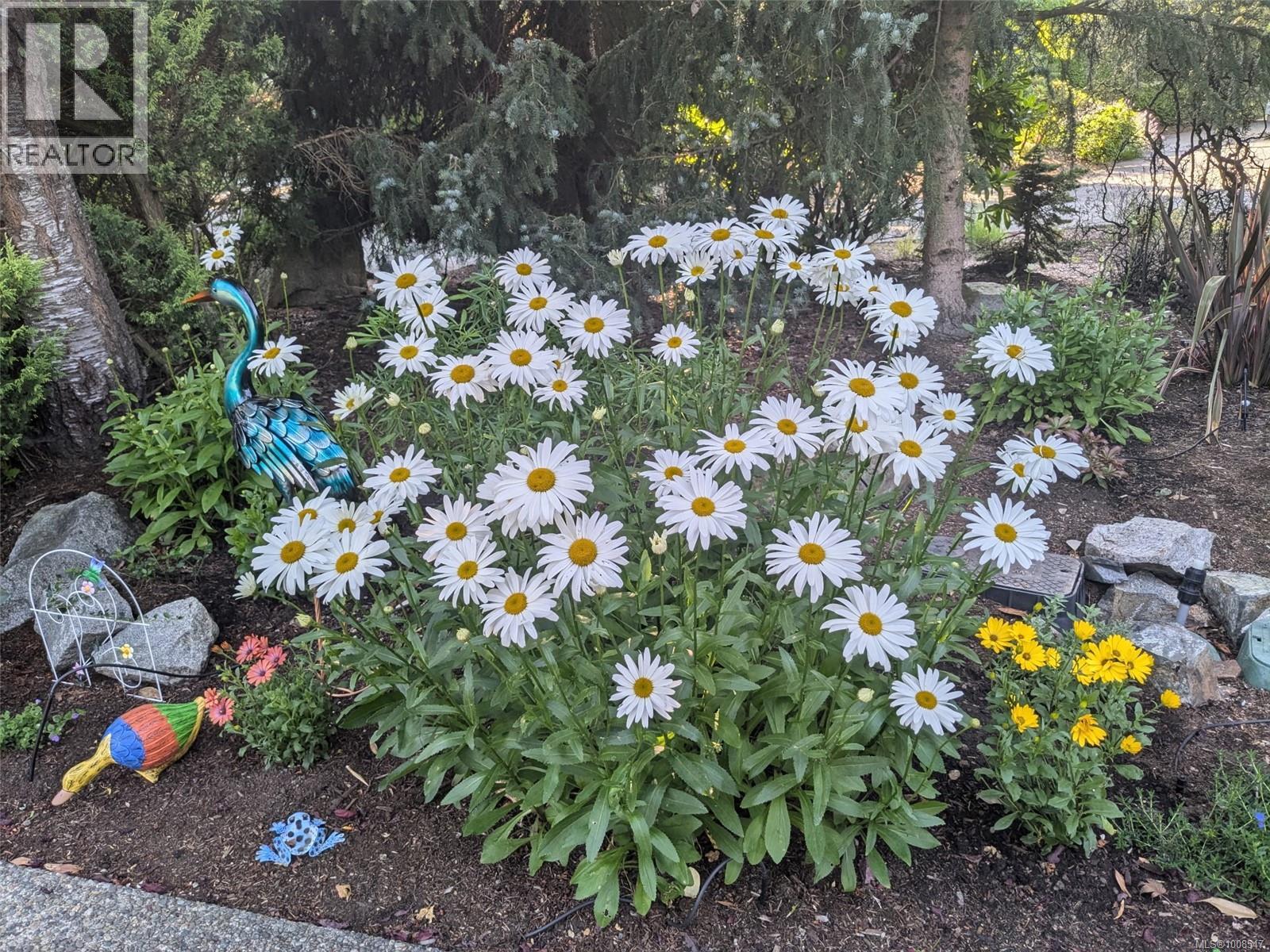 3419 Redden Rd, Nanoose Bay, British Columbia  V9P 9H4 - Photo 49 - 1008547