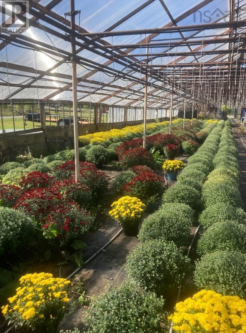 429 Seaview Drive, Upper North Sydney, Nova Scotia  B2A 3N7 - Photo 25 - 202428547