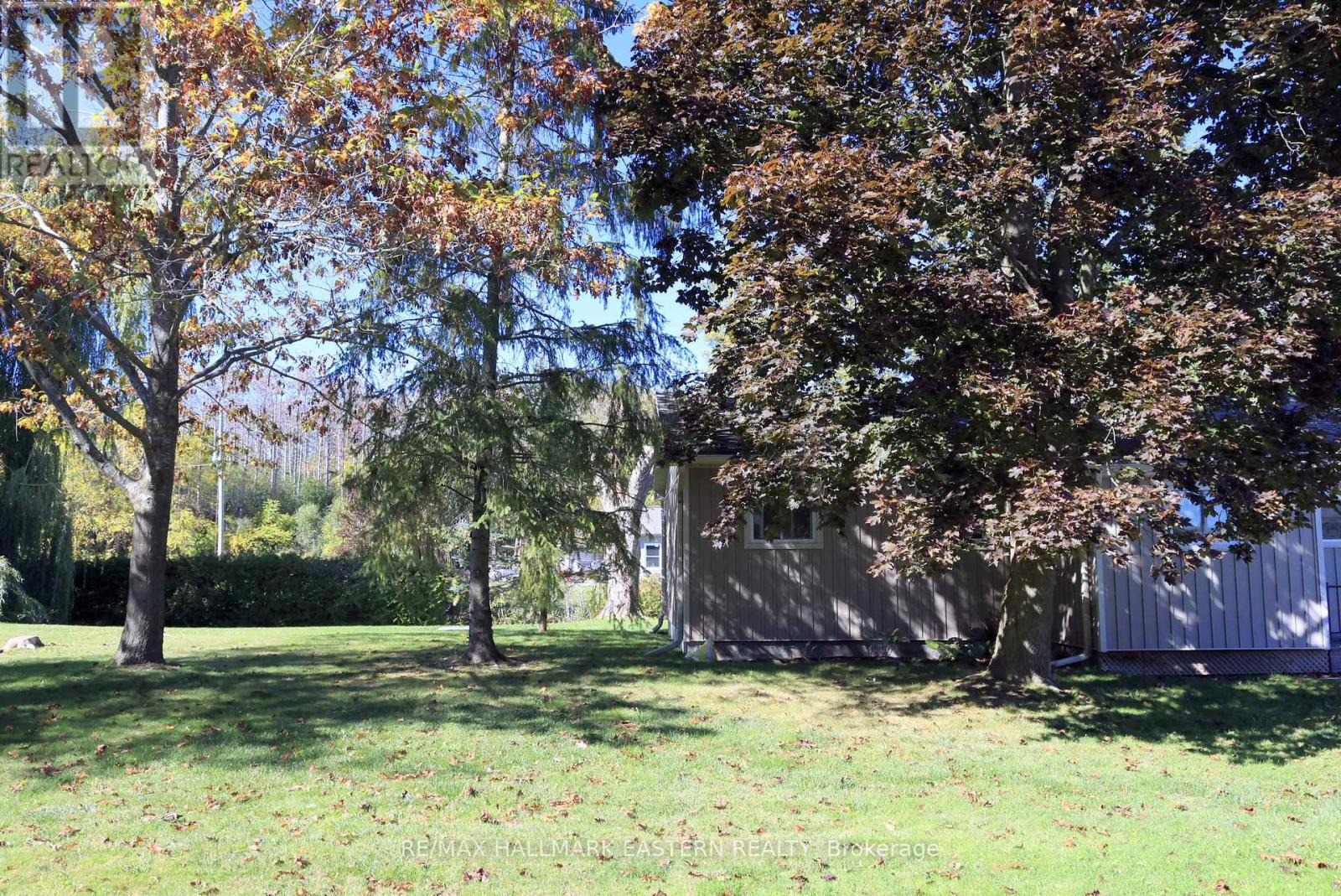 824 Sidney Drive Se, Selwyn, Ontario  K0L 1T0 - Photo 20 - X12472027