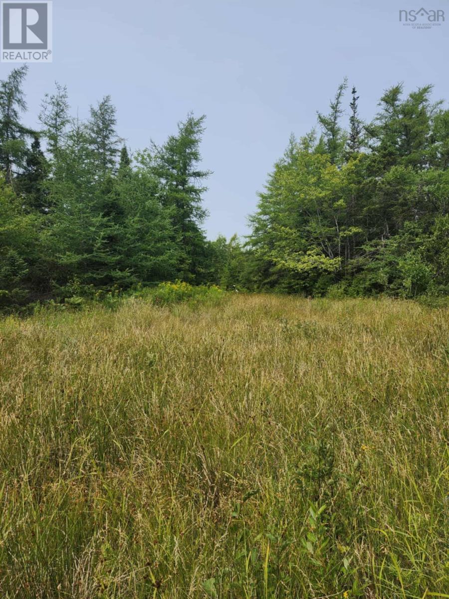 - Alder Road, Dutch Brook, Nova Scotia  B1M 1B2 - Photo 9 - 202519271