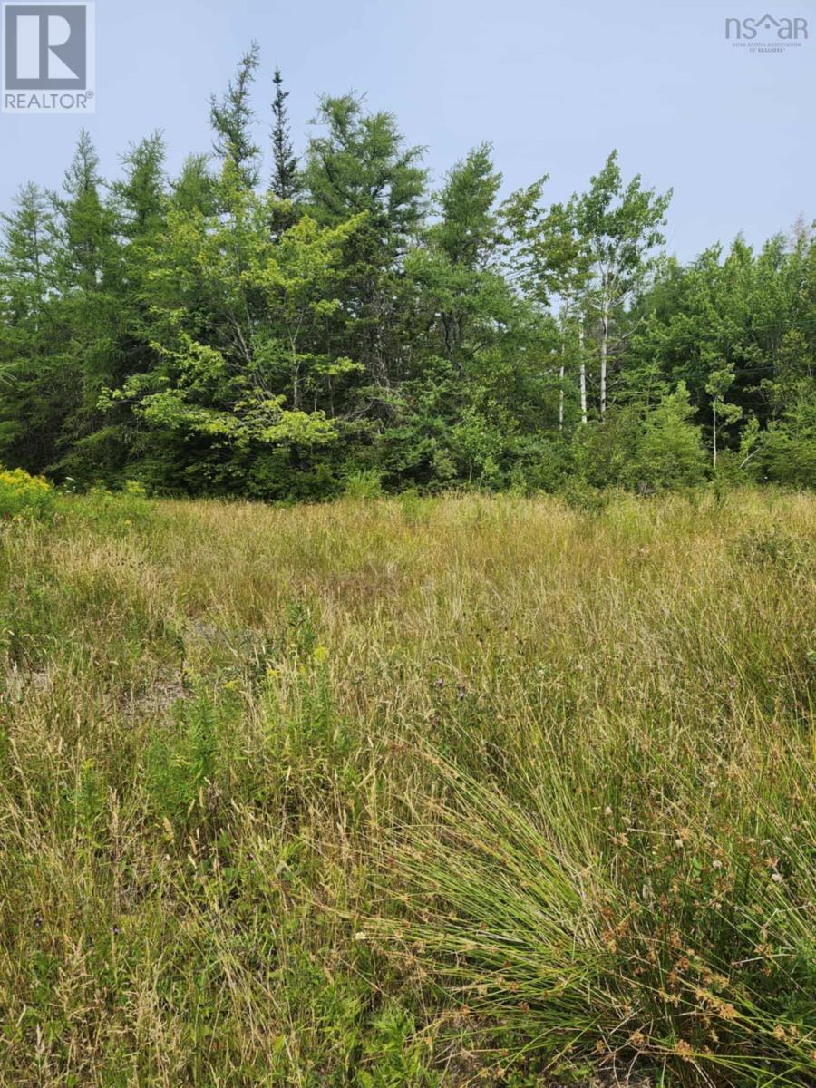 - Alder Road, Dutch Brook, Nova Scotia  B1M 1B2 - Photo 3 - 202519271