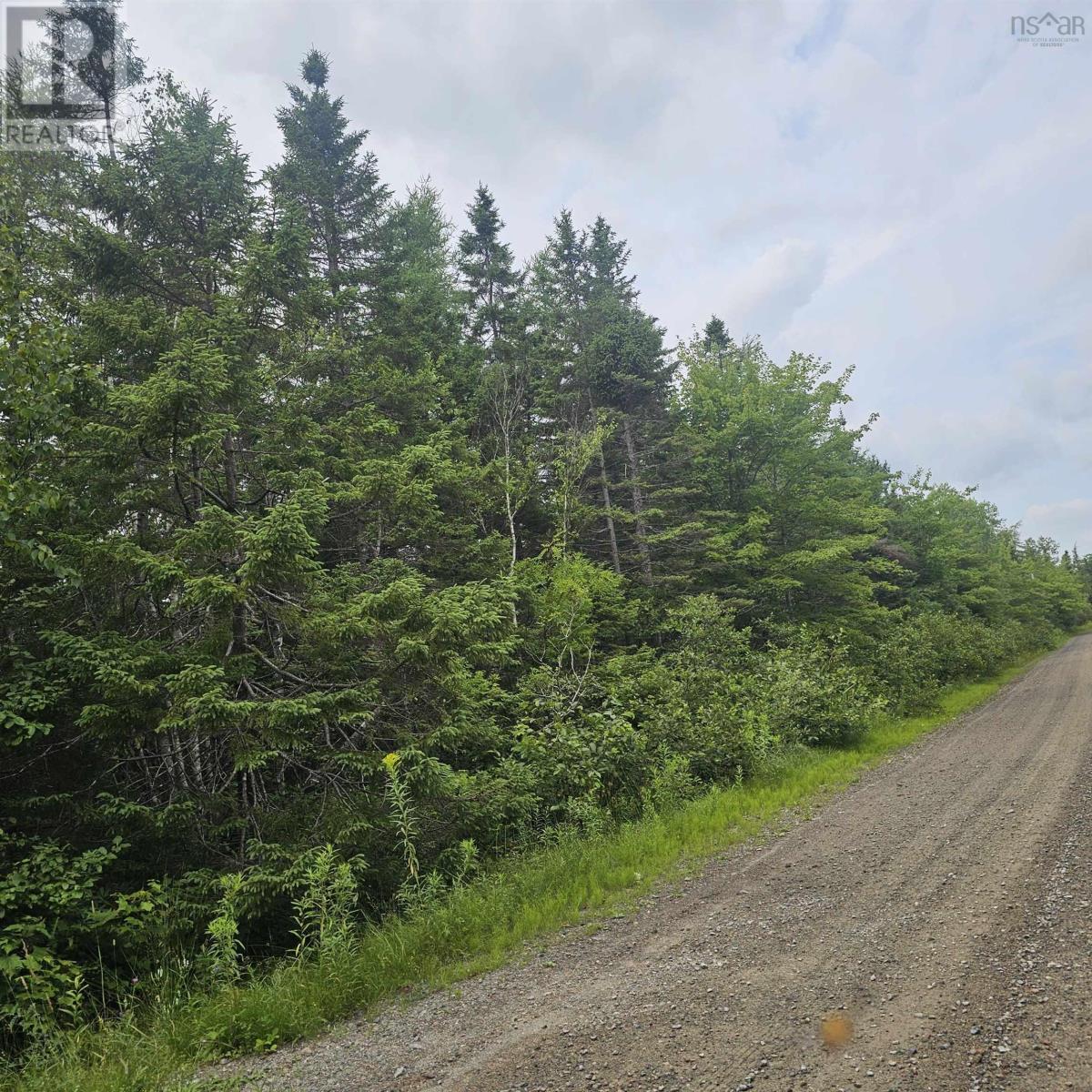 - Alder Road, Dutch Brook, Nova Scotia