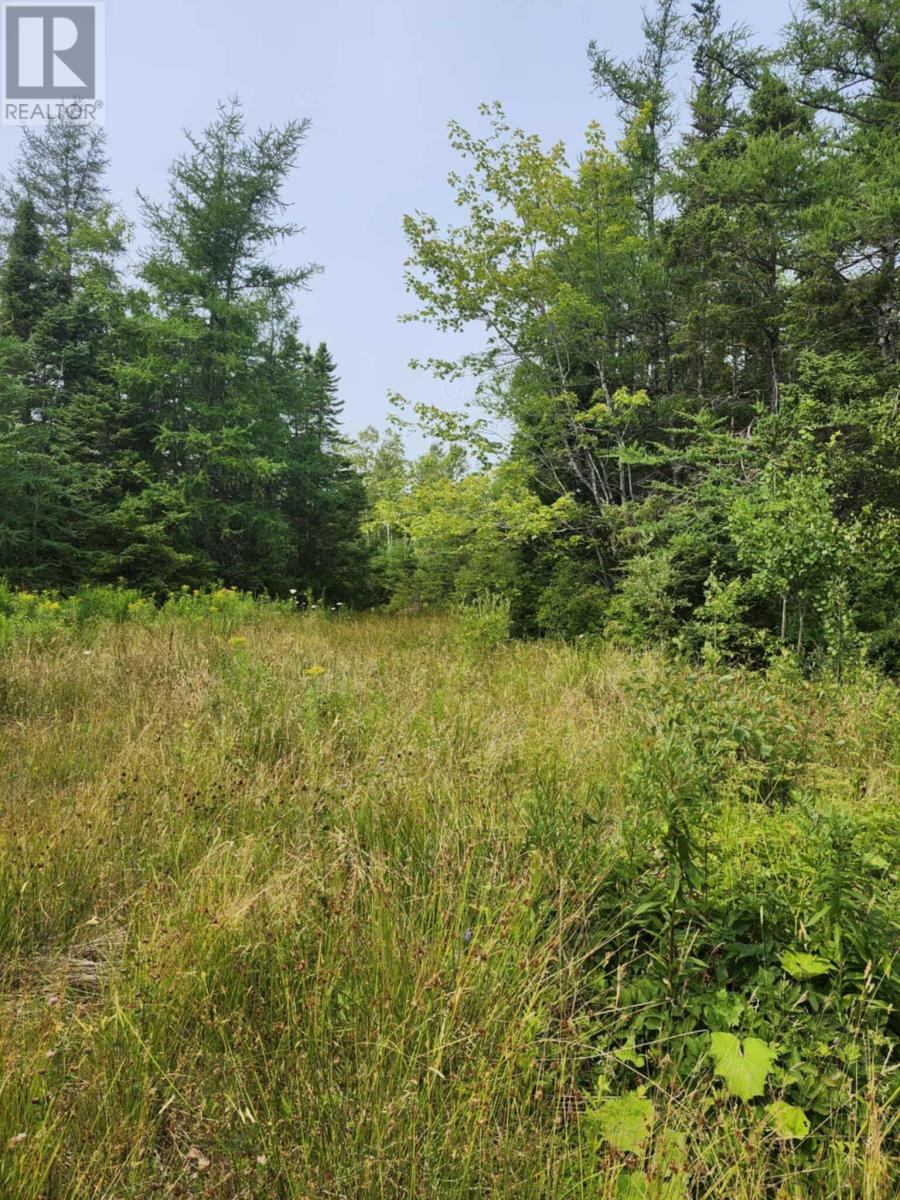 - Alder Road, Dutch Brook, Nova Scotia  B1M 1B2 - Photo 5 - 202519271