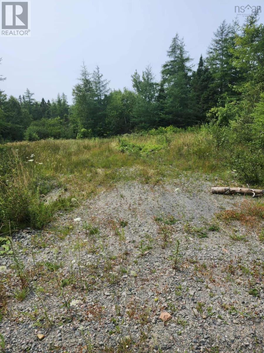 - Alder Road, Dutch Brook, Nova Scotia  B1M 1B2 - Photo 7 - 202519271