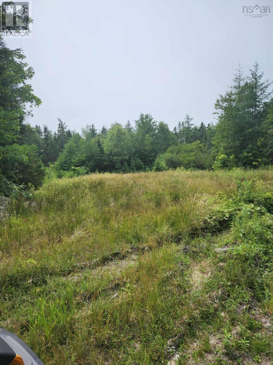 - Alder Road, Dutch Brook, Nova Scotia  B1M 1B2 - Photo 10 - 202519271