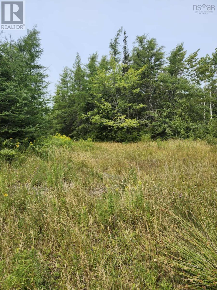 - Alder Road, Dutch Brook, Nova Scotia  B1M 1B2 - Photo 6 - 202519271