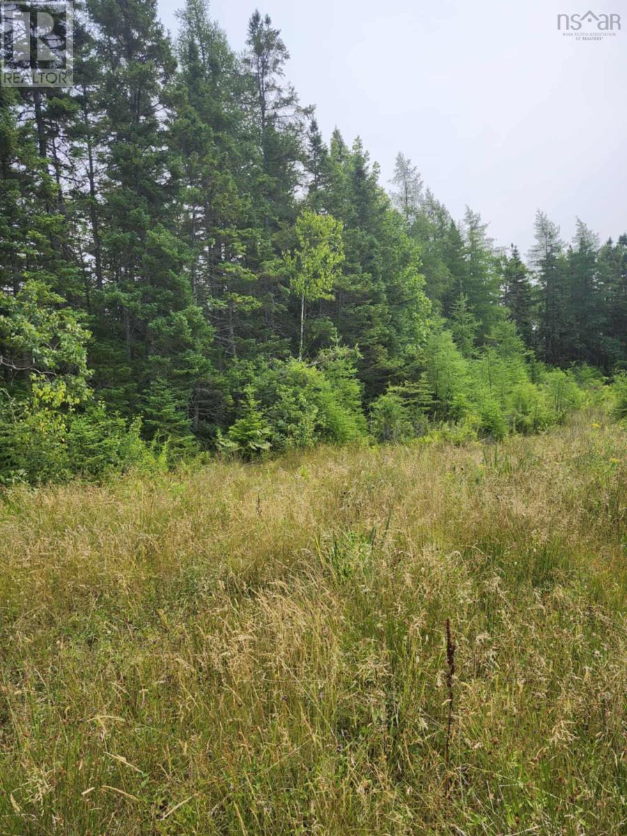 - Alder Road, Dutch Brook, Nova Scotia  B1M 1B2 - Photo 8 - 202519271