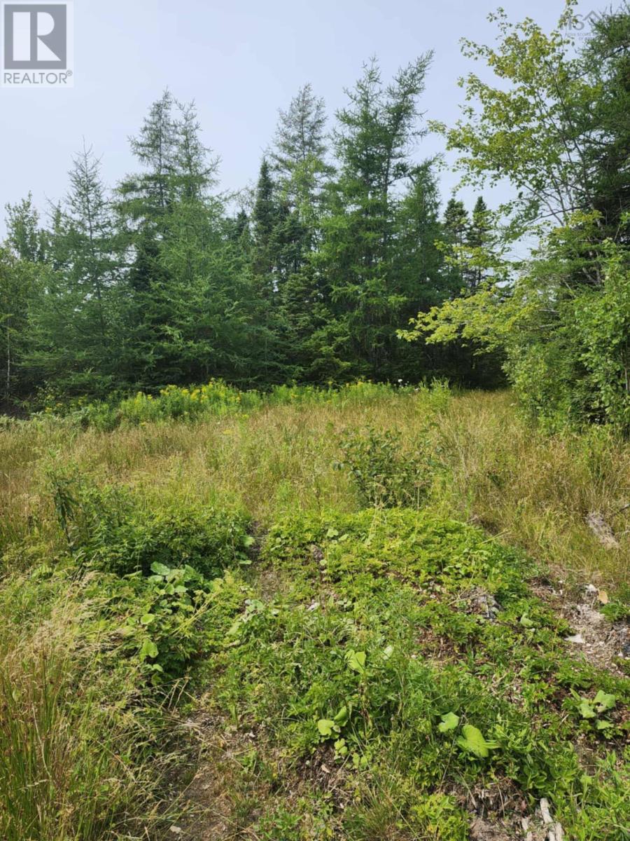 - Alder Road, Dutch Brook, Nova Scotia  B1M 1B2 - Photo 4 - 202519271