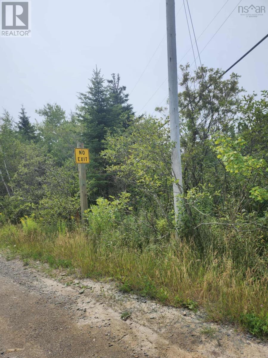 - Alder Road, Dutch Brook, Nova Scotia  B1M 1B2 - Photo 12 - 202519271