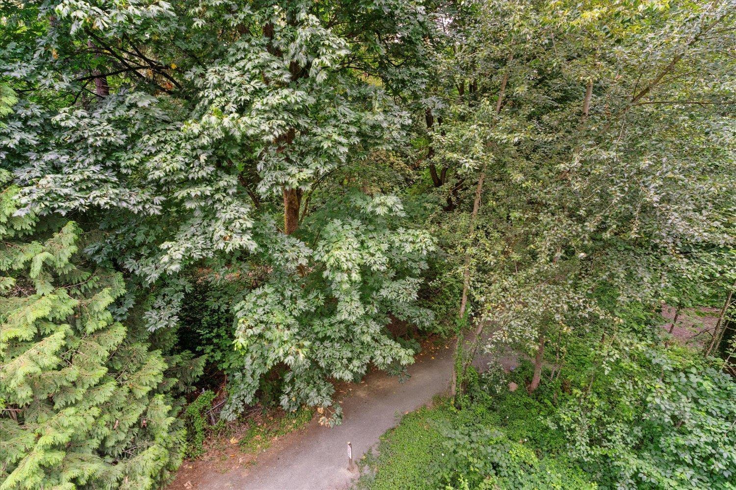 308 33328 E Bourquin Crescent, Abbotsford, British Columbia  V2S 1Y1 - Photo 28 - R3059664