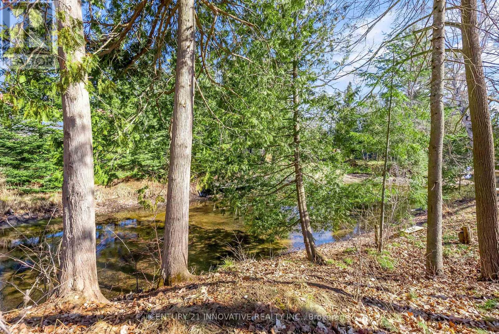7 Duncan Drive, Kawartha Lakes, Ontario  K0M 2B0 - Photo 42 - X12472074