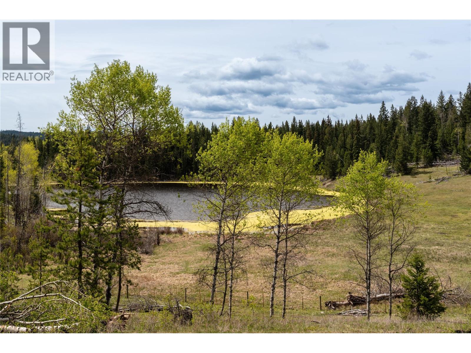 339 Poplar Drive, Logan Lake, British Columbia  V0K 1W0 - Photo 15 - 10366245