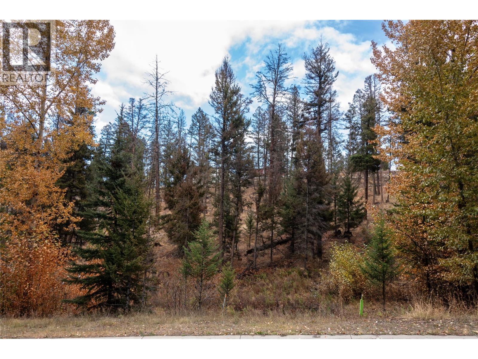 339 Poplar Drive, Logan Lake, British Columbia  V0K 1W0 - Photo 3 - 10366245