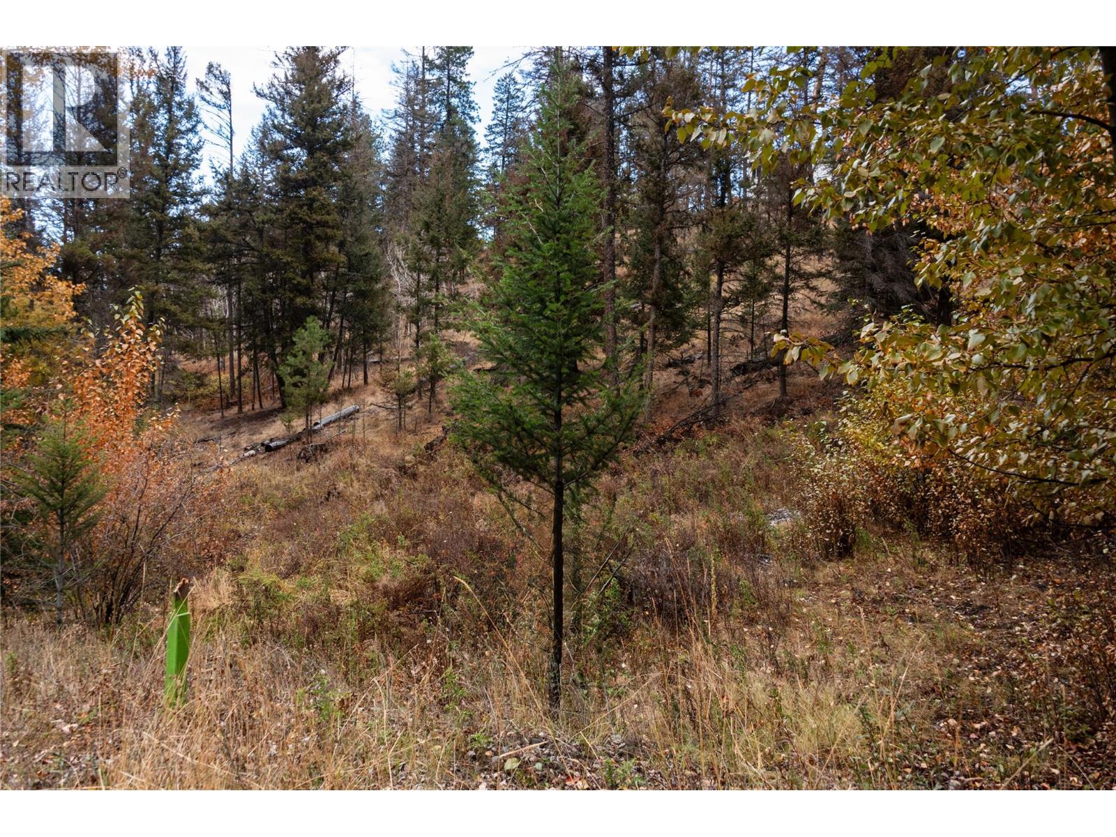 339 Poplar Drive, Logan Lake, British Columbia  V0K 1W0 - Photo 4 - 10366245