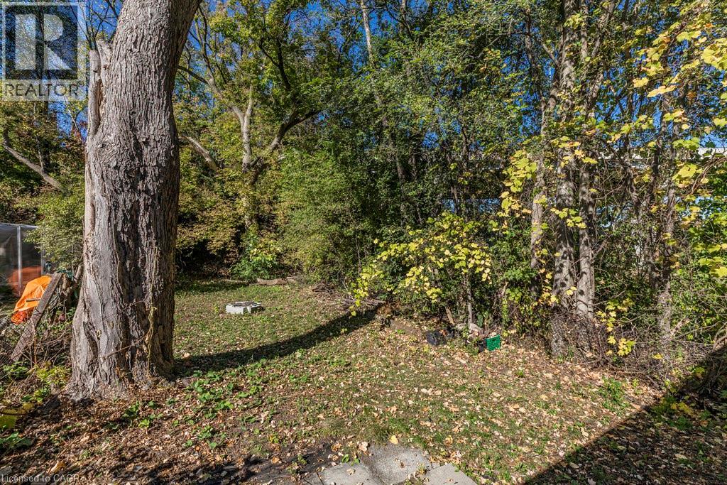 132 Tope Crescent, Hamilton, Ontario  L8S 1M7 - Photo 30 - 40780520