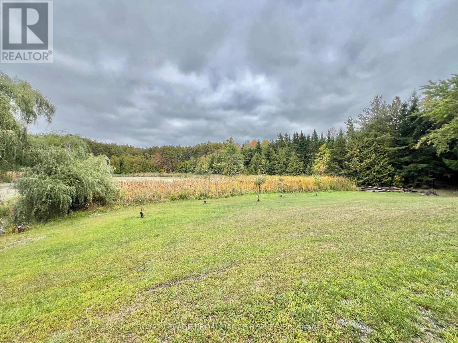 16124 Highway 62, Madoc, Ontario  K0K 2K0 - Photo 34 - X12423684