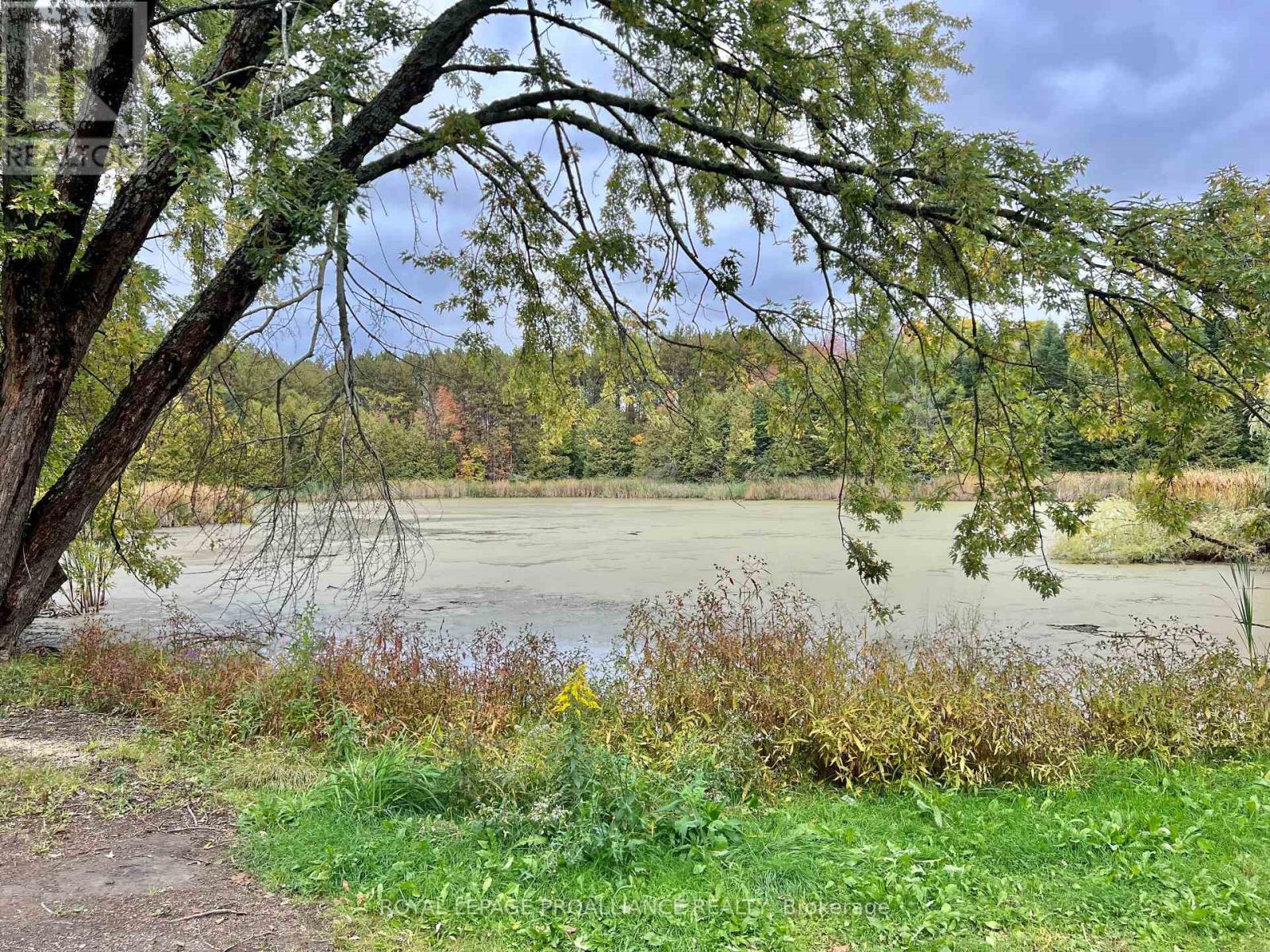 16124 Highway 62, Madoc, Ontario  K0K 2K0 - Photo 32 - X12423684