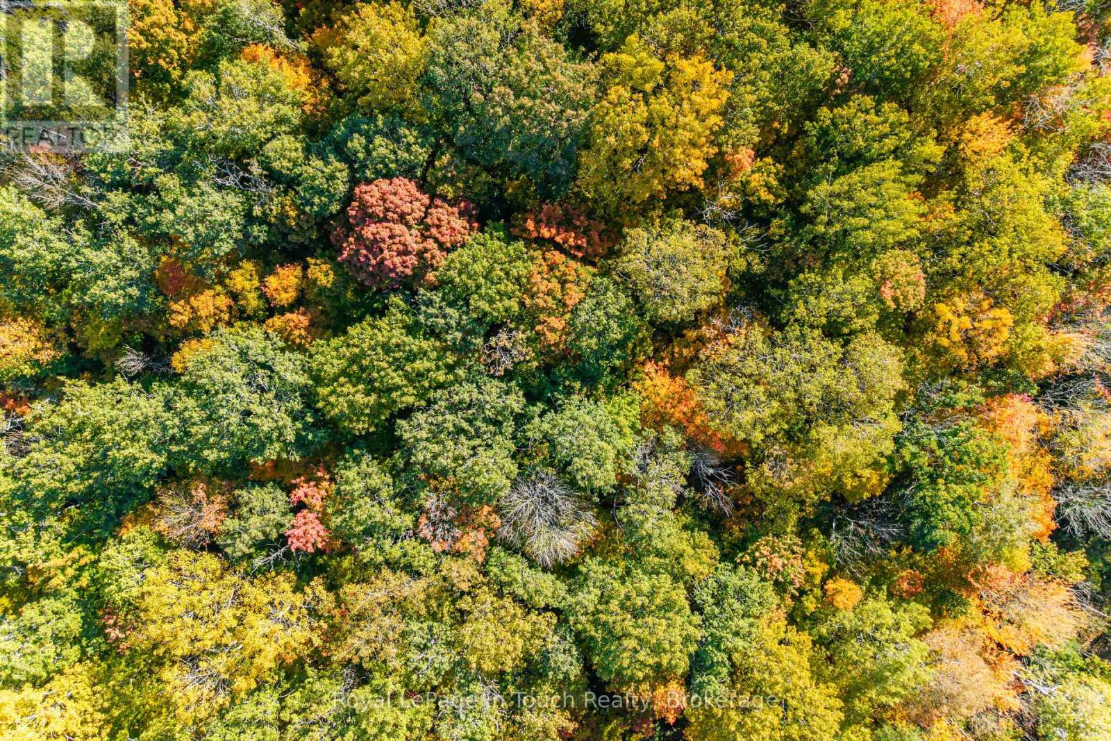 250 Peek -A- Boo Trail, Tiny, Ontario  L9M 0B3 - Photo 5 - S12472261
