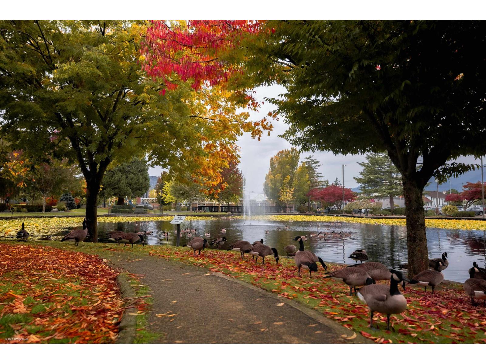 15 45915 Cheam Avenue, Chilliwack Downtown, Chilliwack, British Columbia  V2P 1N7 - Photo 22 - R3059839