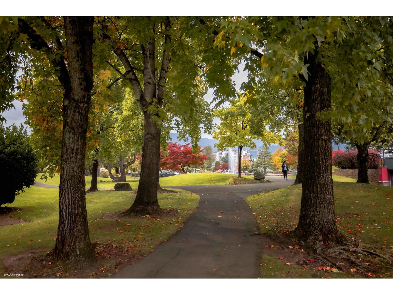 15 45915 Cheam Avenue, Chilliwack Downtown, Chilliwack, British Columbia  V2P 1N7 - Photo 23 - R3059839