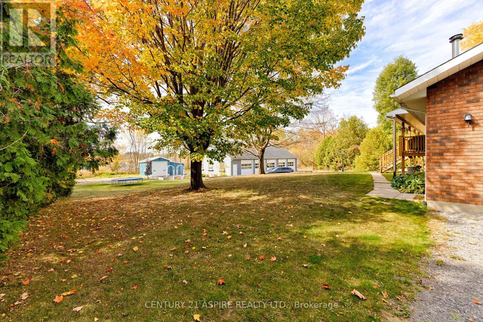 75 Pembroke Street E, Whitewater Region, Ontario  K0J 1K0 - Photo 4 - X12472311