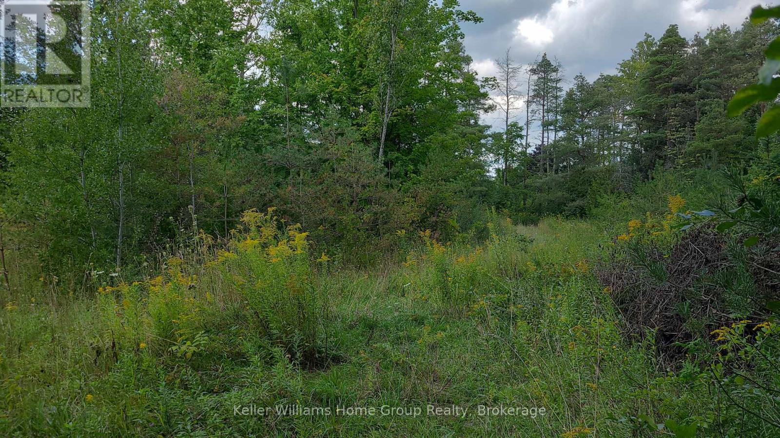 4875 Wellington Rd 29, Guelph/eramosa (Eden Mills), Ontario  N0B 1P0 - Photo 19 - X11886929