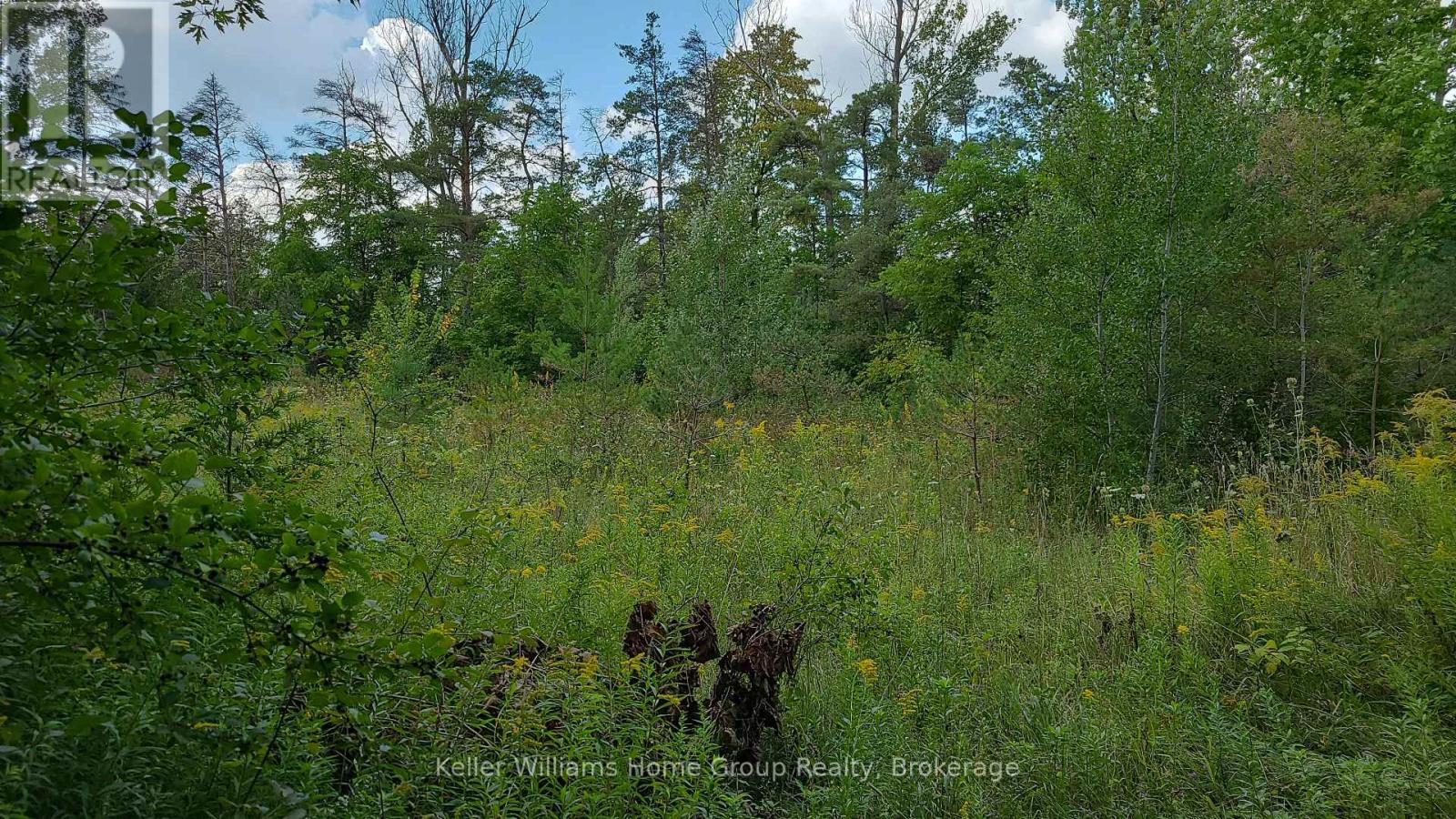 4875 Wellington Rd 29, Guelph/eramosa (Eden Mills), Ontario  N0B 1P0 - Photo 18 - X11886929