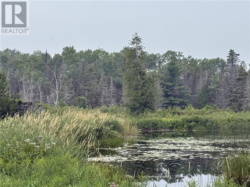 Lt 13-14 Con 5, Silver Water, Ontario   - Photo 26 - 2123823