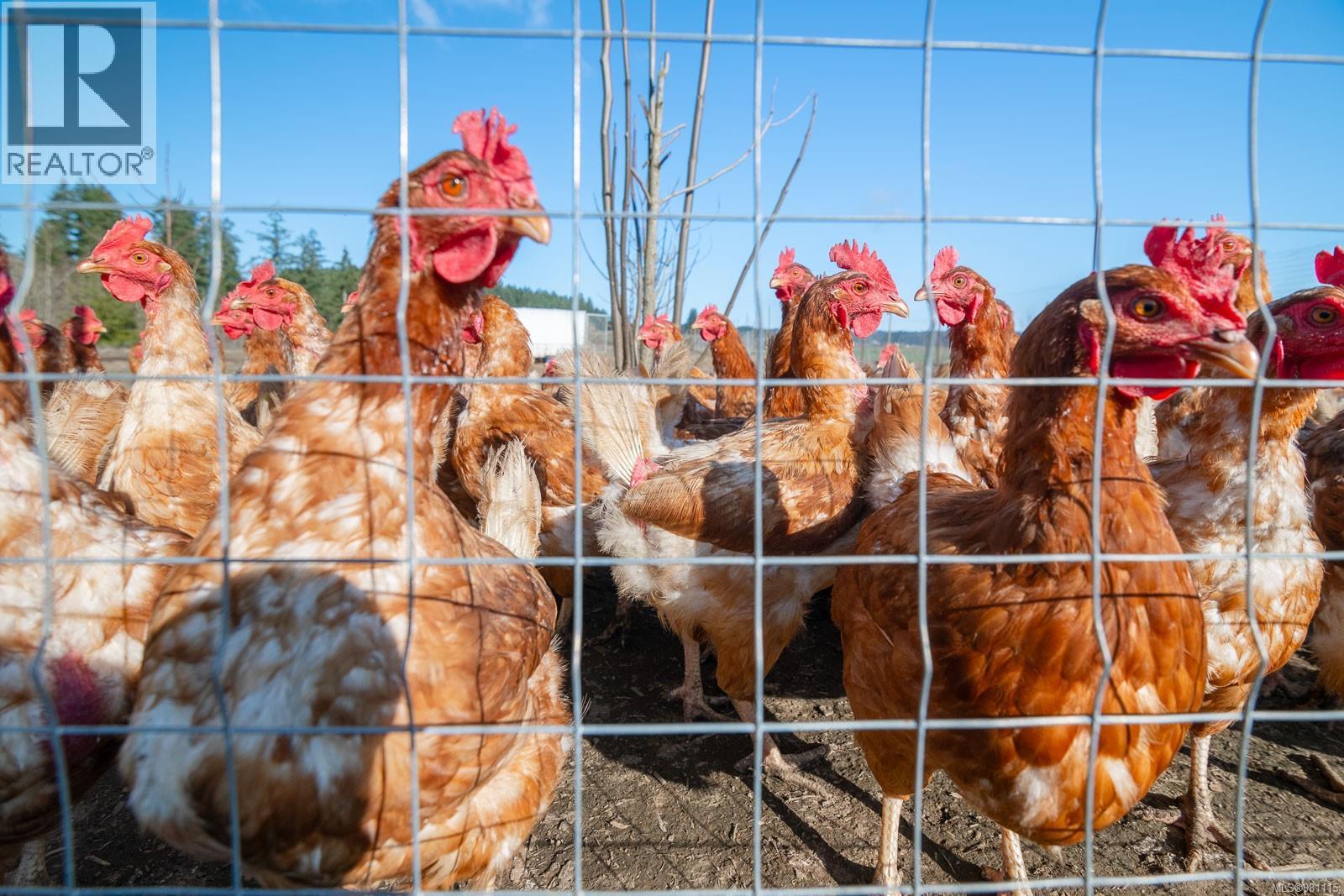 2974 Haslam Rd, Nanaimo, British Columbia  V9X 1T1 - Photo 63 - 981115