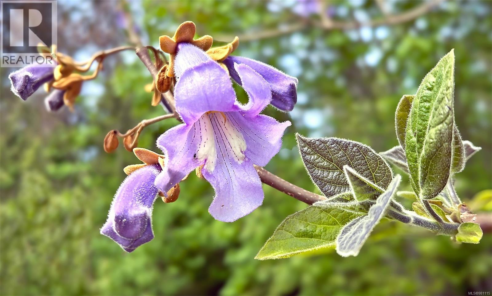 2974 Haslam Rd, Nanaimo, British Columbia  V9X 1T1 - Photo 76 - 981115