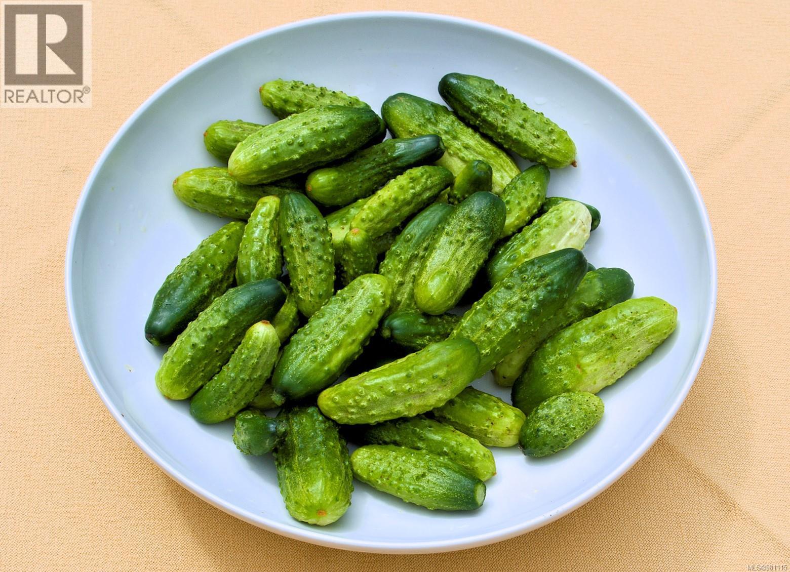 2974 Haslam Rd, Nanaimo, British Columbia  V9X 1T1 - Photo 94 - 981115