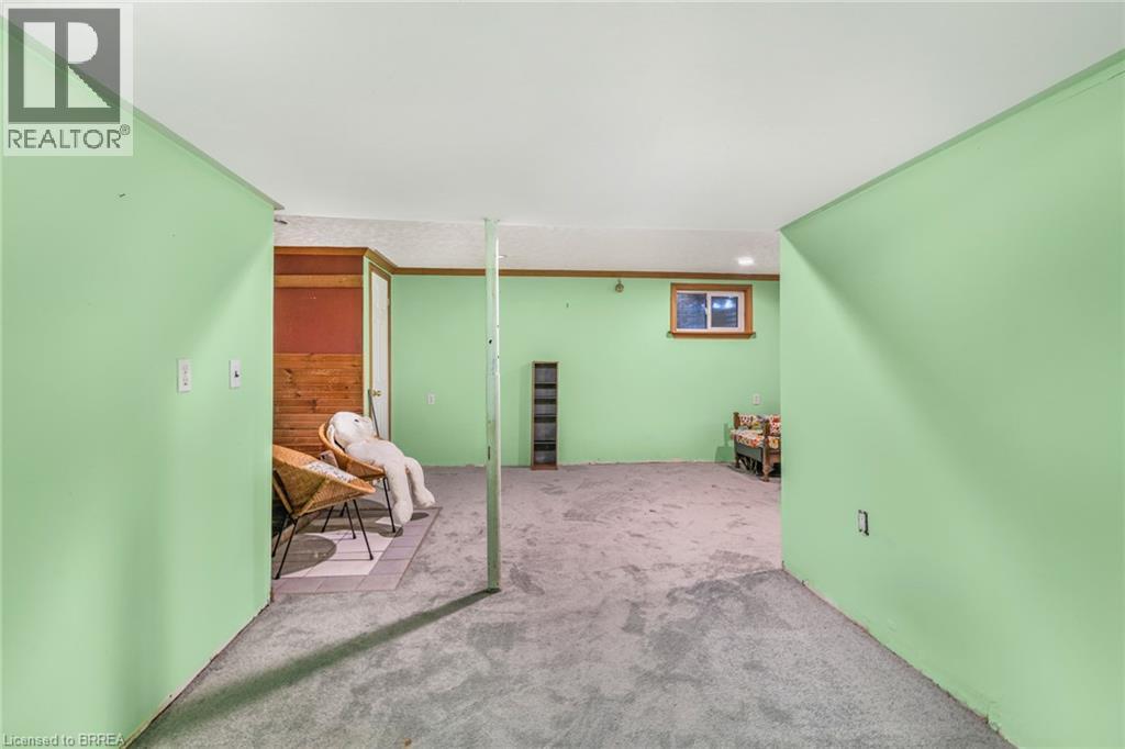 161 Crysler Street, Delhi, Ontario  N4B 1H9 - Photo 17 - 40778967