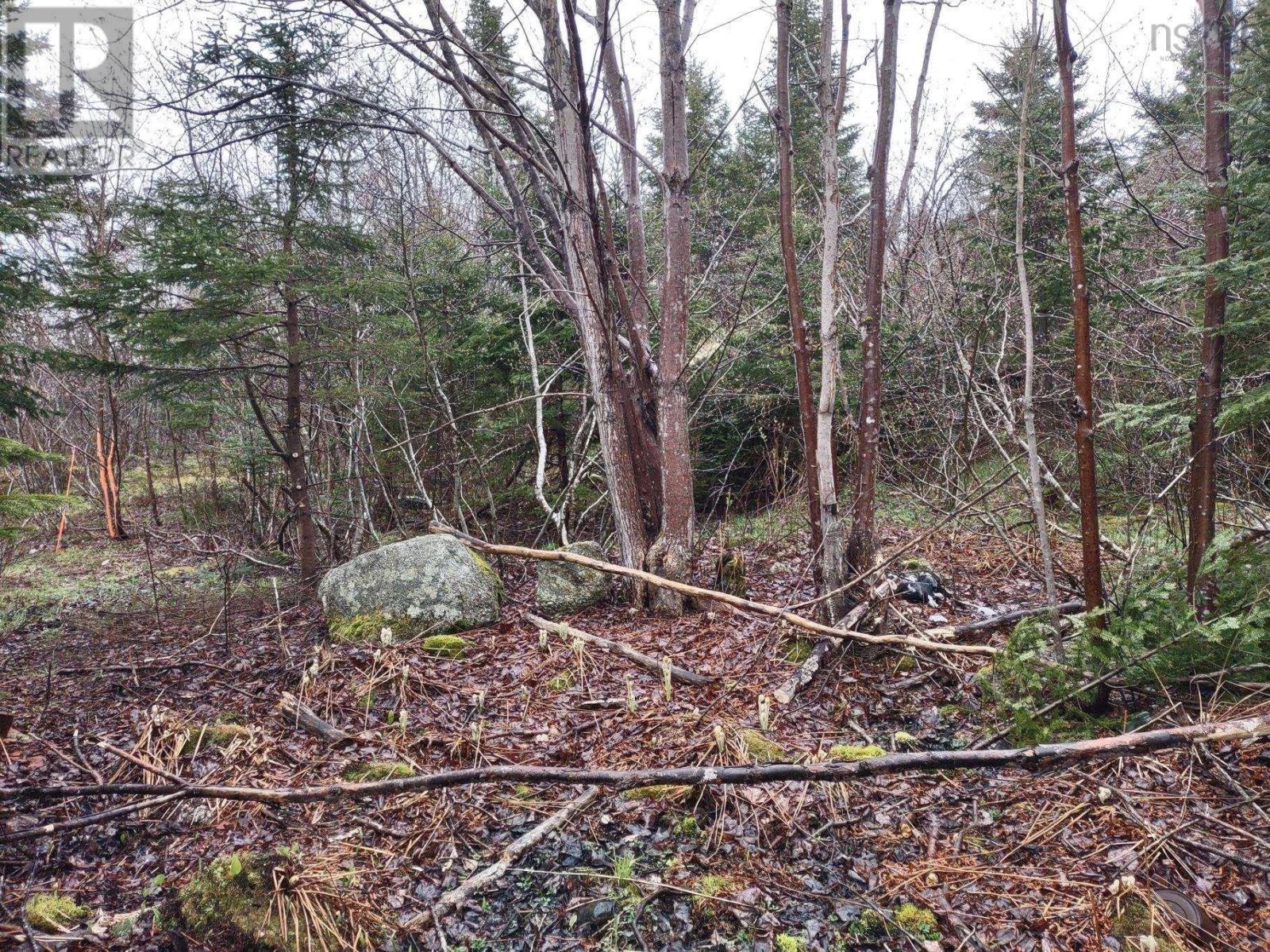 1218 St Margarets Bay Road, Beechville, Nova Scotia