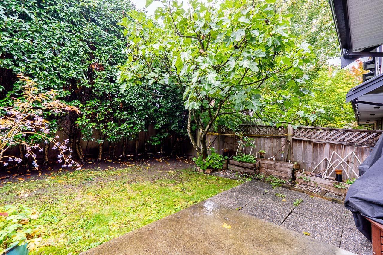 9 18199 70 Avenue, Surrey, British Columbia  V3S 2N9 - Photo 30 - R3059596