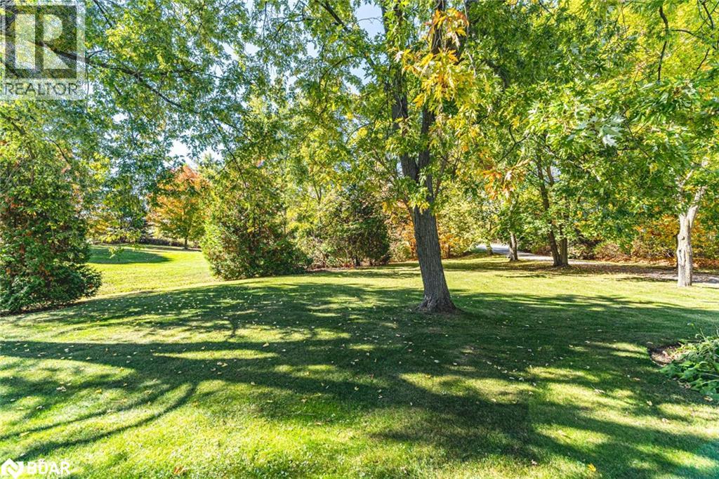 5853 Yonge Street, Innisfil, Ontario  L0L 1K0 - Photo 24 - 40780757