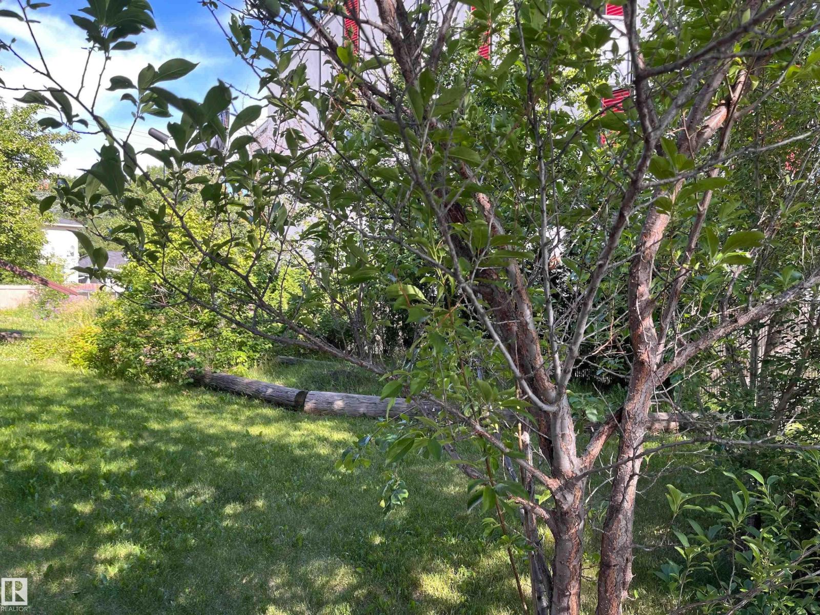 11910 76 St Nw, Edmonton, Alberta  T5B 2C7 - Photo 3 - E4462826