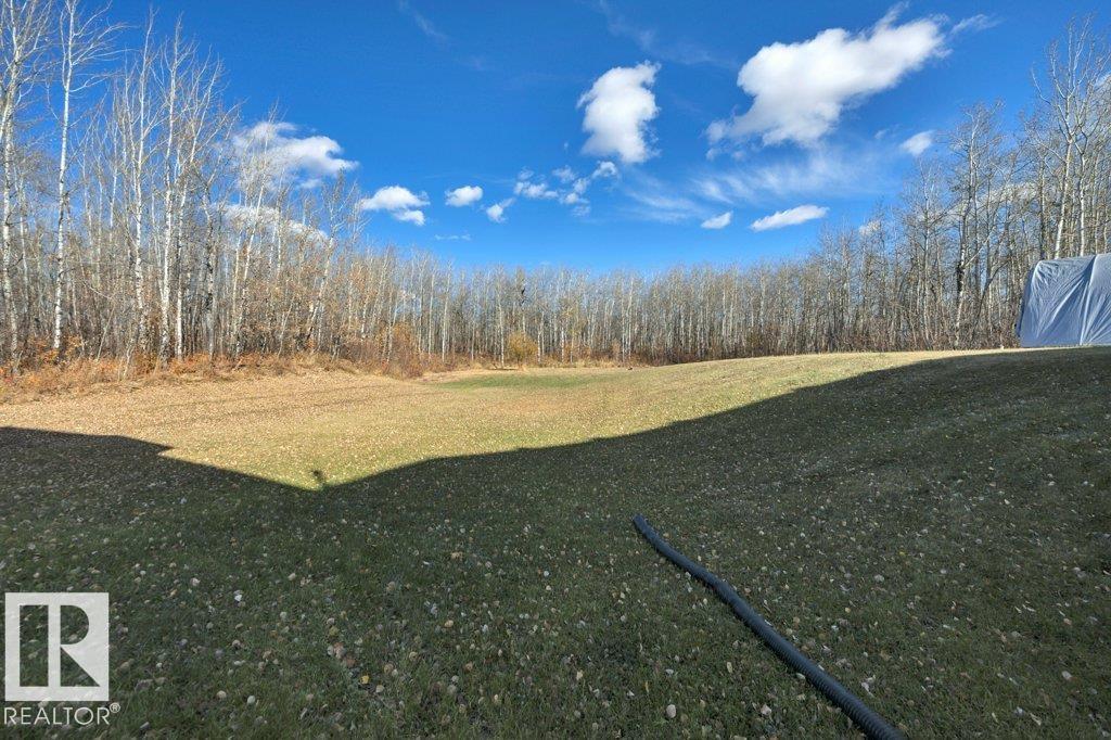 #146 50072 Range Road 205, Rural Camrose County, Alberta  T0B 2M1 - Photo 48 - E4462823