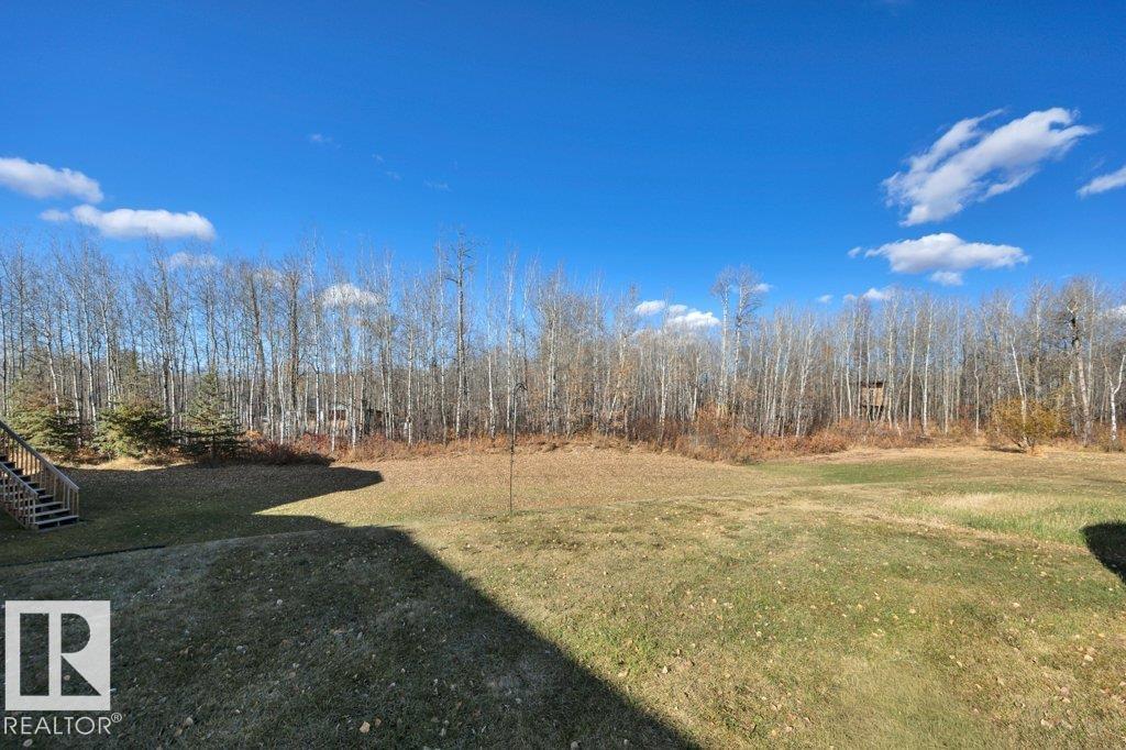 #146 50072 Range Road 205, Rural Camrose County, Alberta  T0B 2M1 - Photo 49 - E4462823