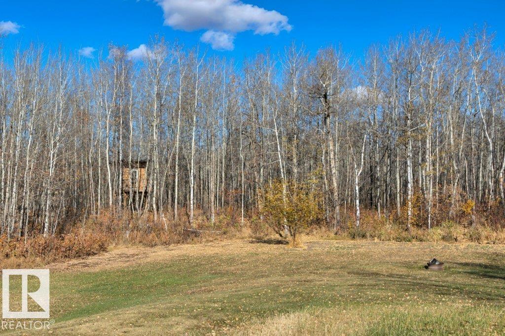 #146 50072 Range Road 205, Rural Camrose County, Alberta  T0B 2M1 - Photo 50 - E4462823