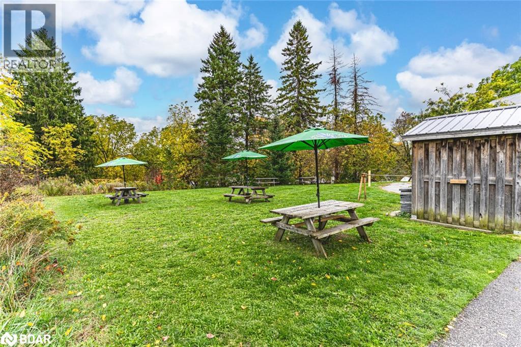 5273 County Road 9, Clearview, Ontario  L0M 1N0 - Photo 36 - 40777018