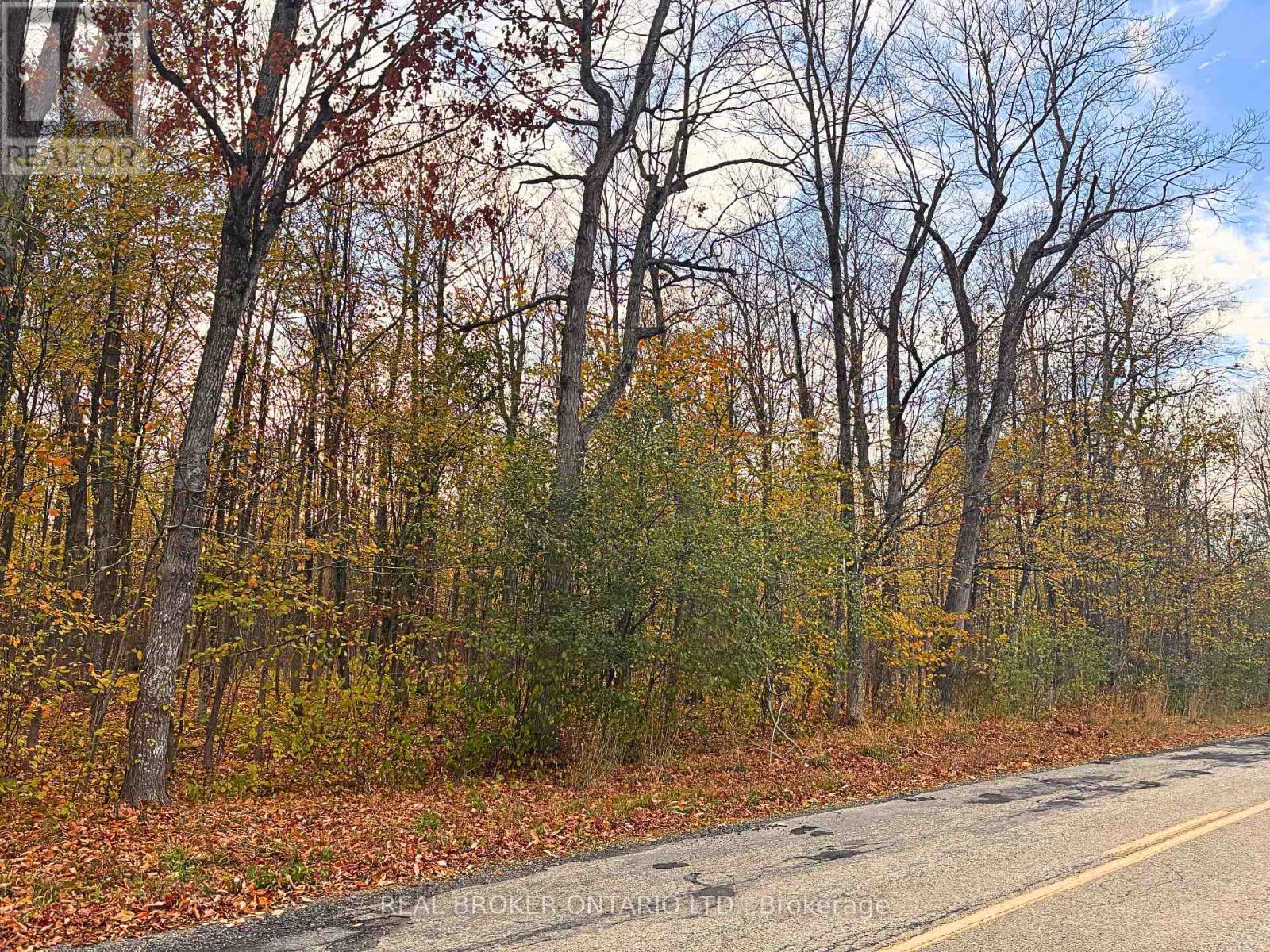 Lot 7 County 7 Road, Elizabethtown-Kitley, Ontario  K0E 1H0 - Photo 4 - X12472181