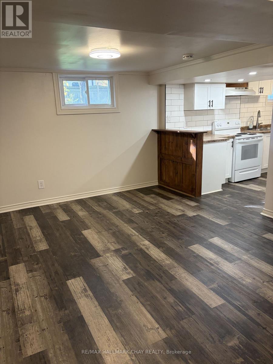 Lower Unit - 10 Oak Street, New Tecumseth, Ontario  L9R 1N1 - Photo 3 - N12472393